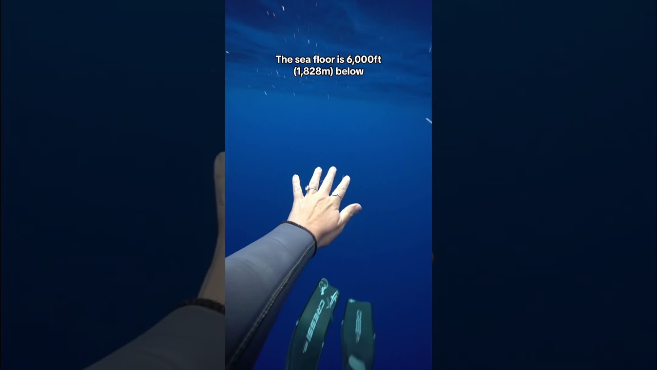 Did this video make you anxious?. 😳 #thalassophobia #ocean #deepsea #deepwater #phobia