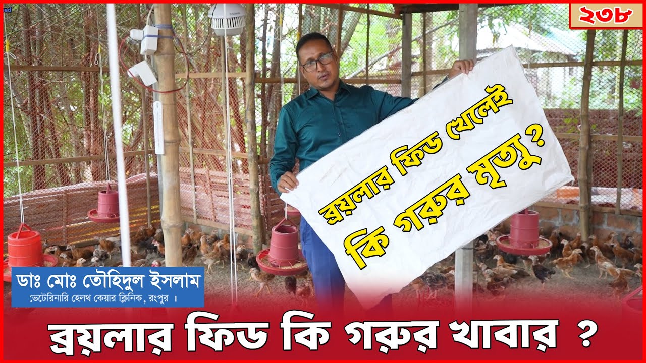 ব্রয়লার ফিড কি গরুর খাবার ? ব্রয়লার ফিড খেলে কি গরু মারা যাবে। গরু পালন | Dr. Touhidul Islam