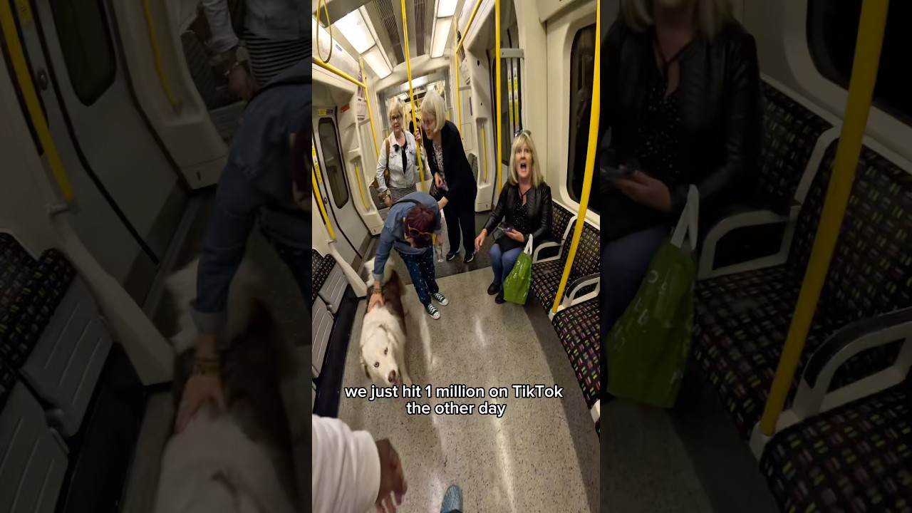 Train interactions with Viola!! #shorts #youtube #subscribe #london #tube #trains #fans #viralshorts