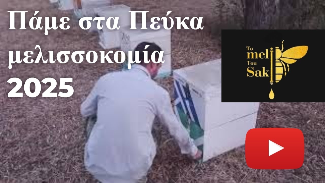 Πηγαίνοντας βόλτα στην Θάσο με τα μελίσσια μας | Μελισσοκομία 