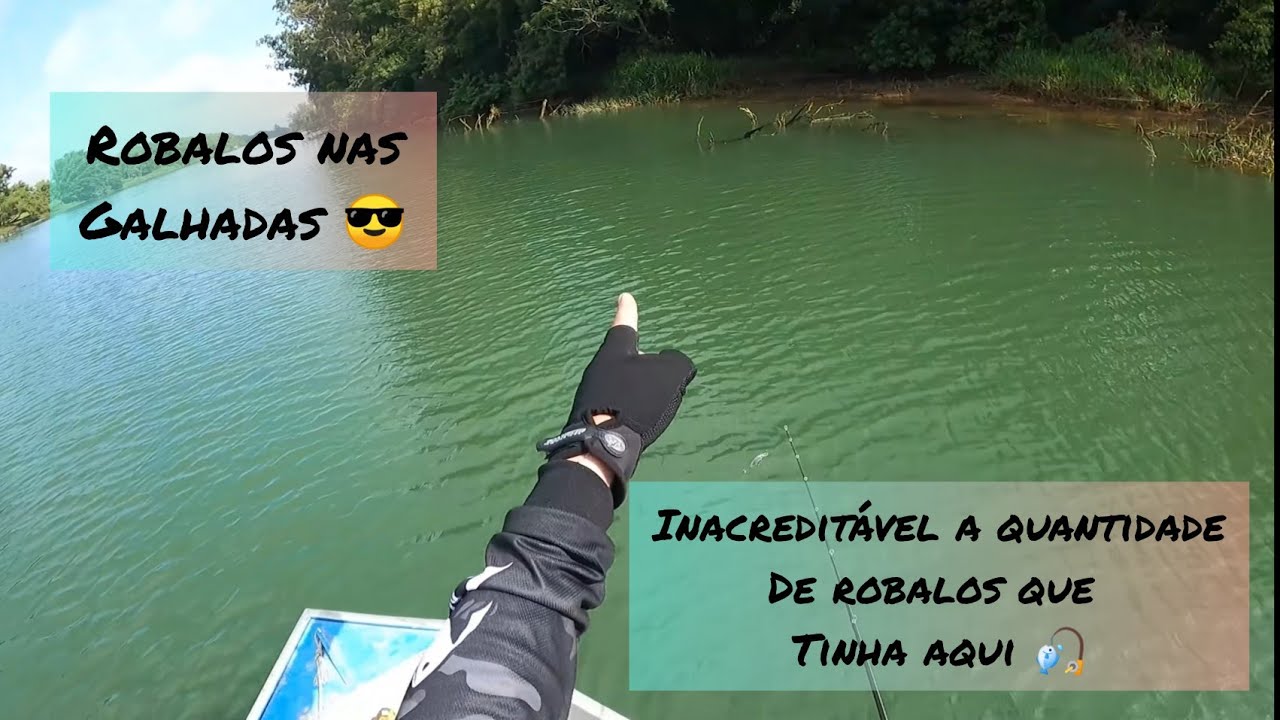 Pescando robalos no Rio Araranguá (centro da cidade)