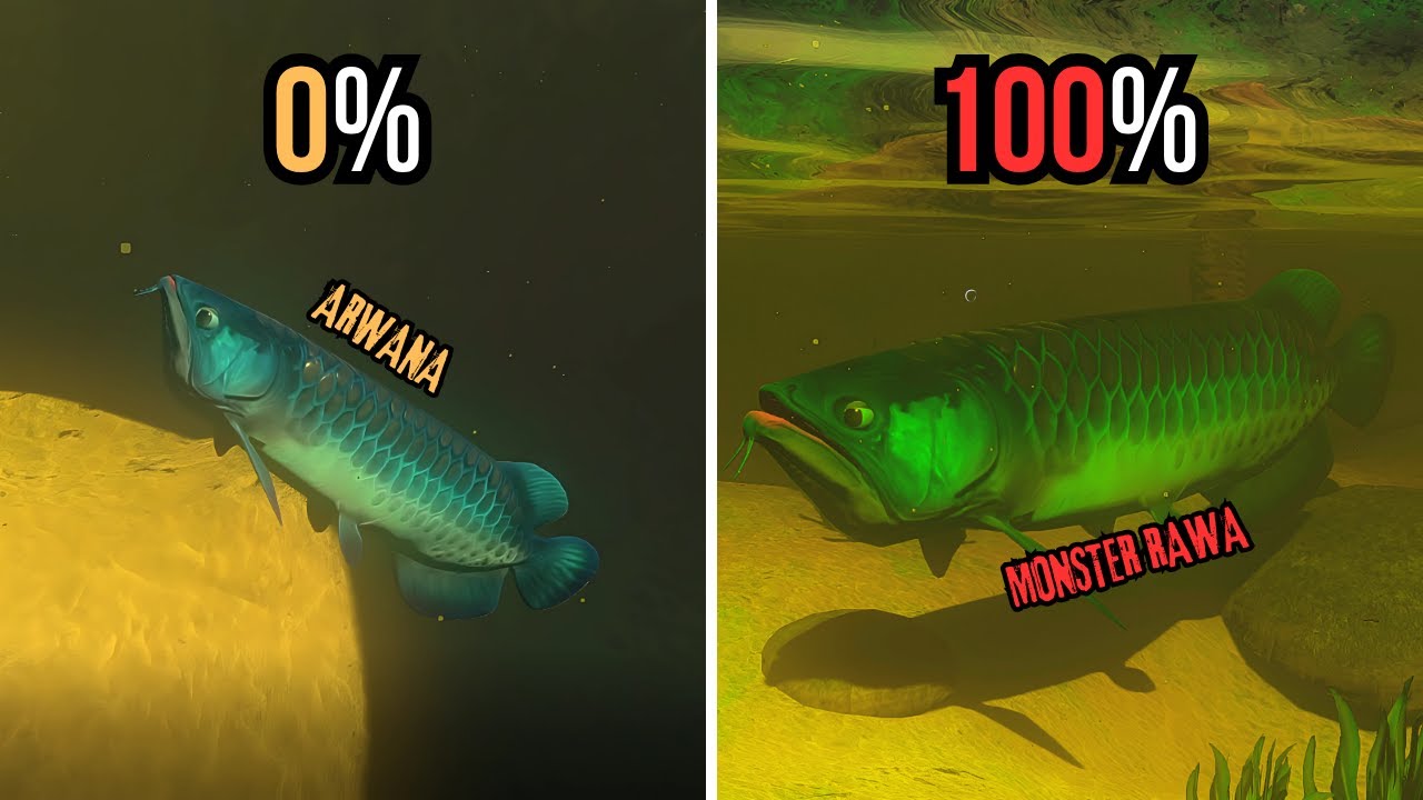 Aku Menjadi Ikan ARWANA Sampai Menjadi MONSTER RAWA | Feed And Grow Fish