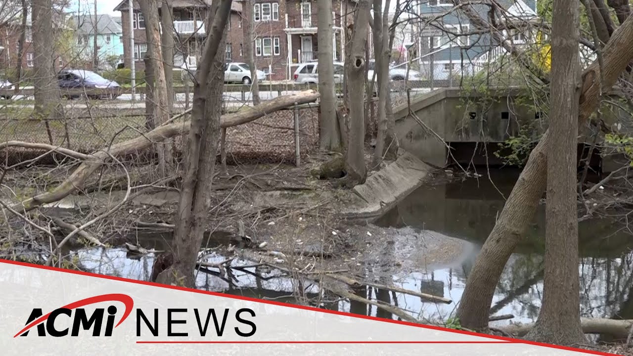 The Alewife Brook: An Open Sewer for 5 More Years?