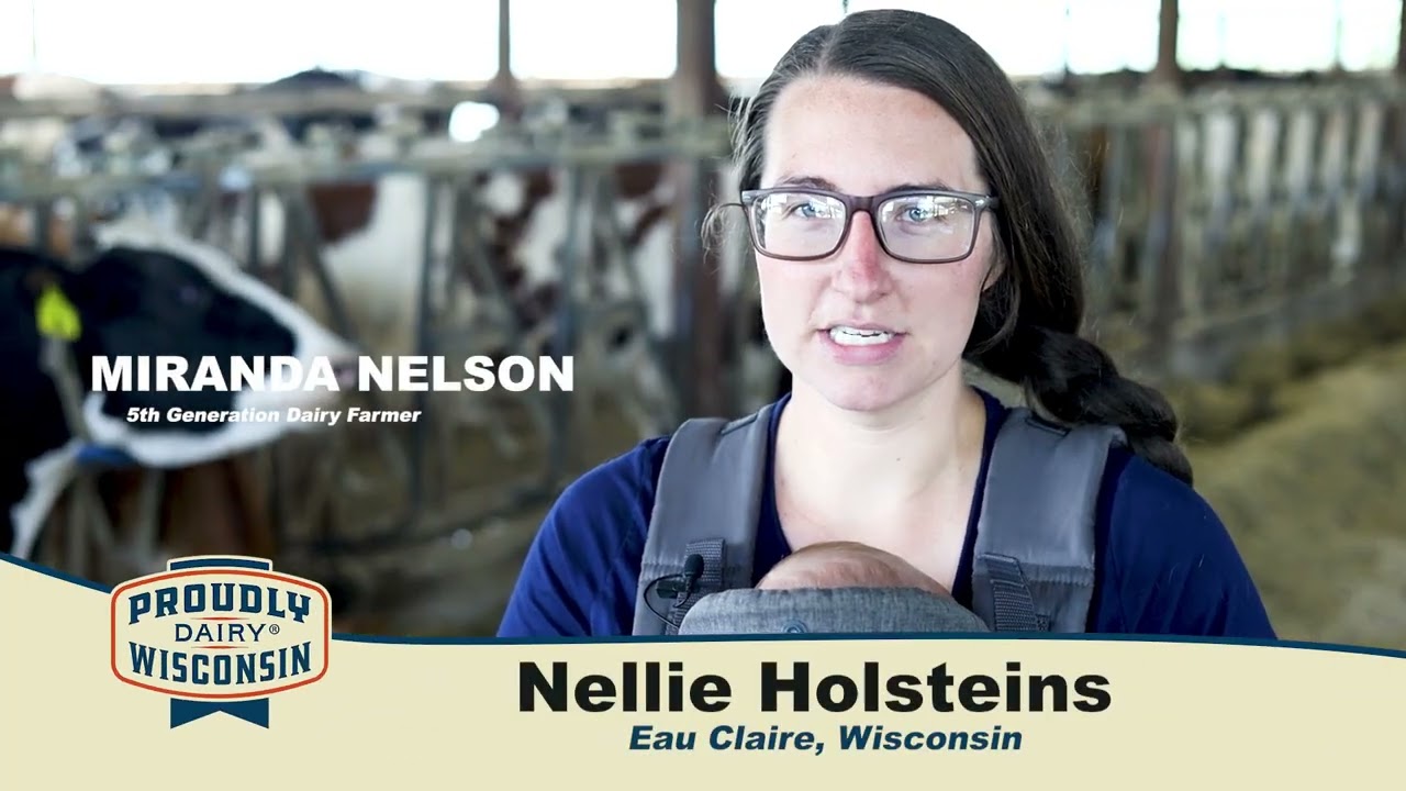 June Dairy Month: Nellie Holsteins