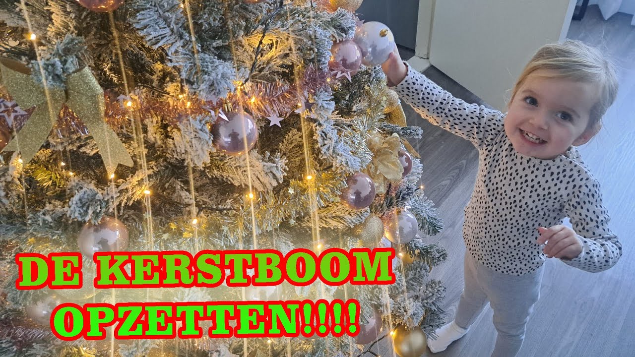 YINDI MAG HELPEN MET DE KERSTBOOM OPZETTEN!!!