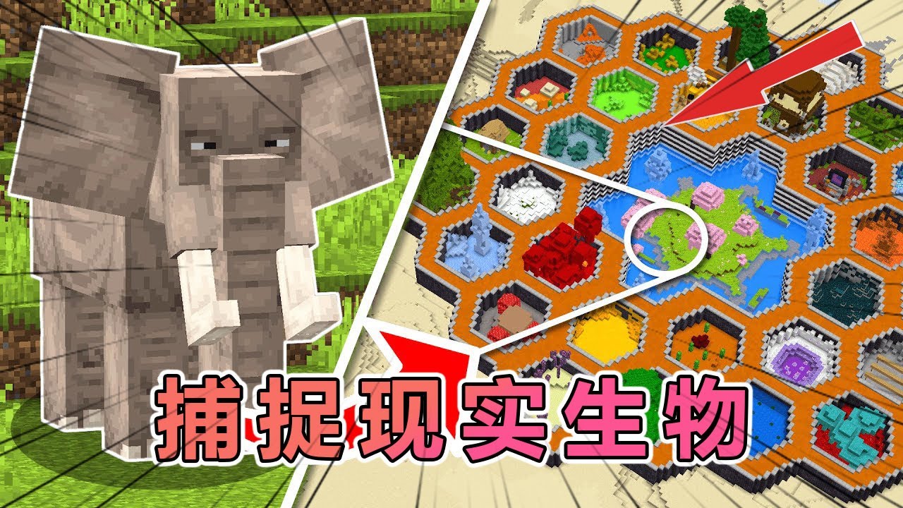 我的世界：肝帝老哥在mc引入各种现实生物 #我的世界 #minecraft