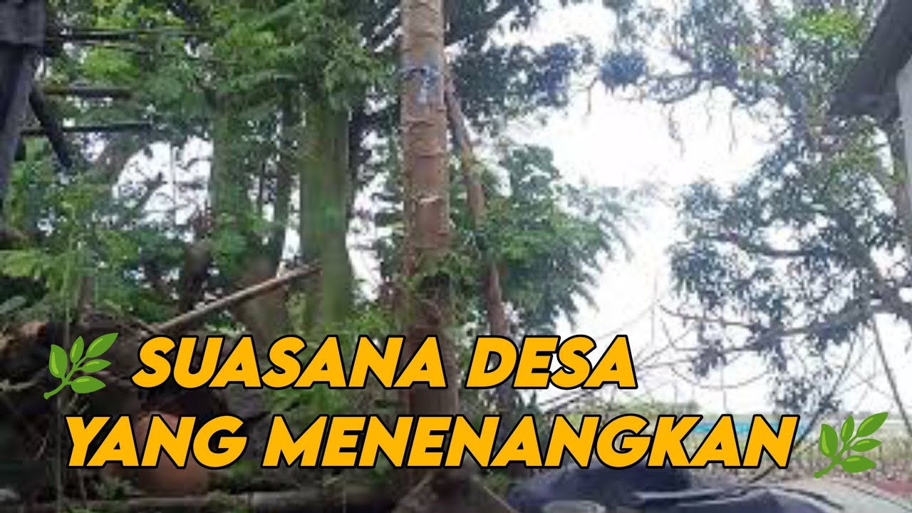 LAGU ENAK DIDENGAR SAAT SANTAI DAN KERJA || Lagu pop hits Indonesia tahun 2000an