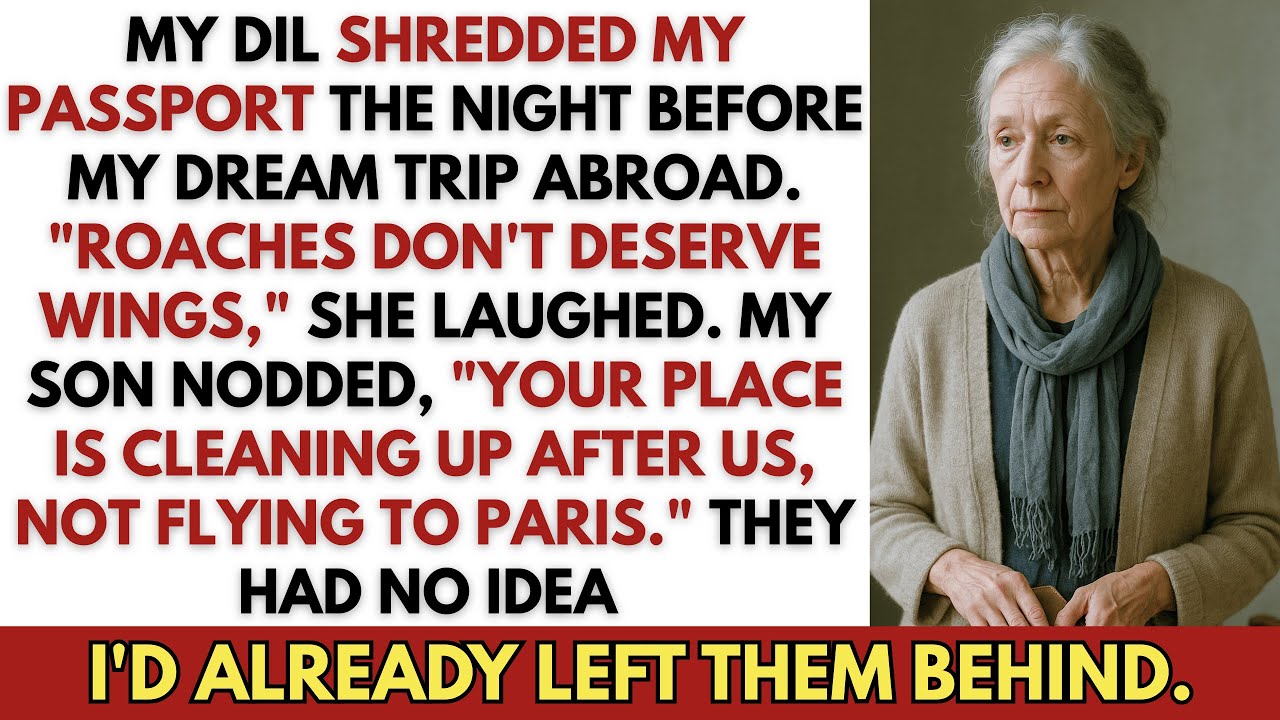 My DIL Shredded My Passport the Night Before My Dream Trip Abroad. 'Roaches Don't Deserve Wings