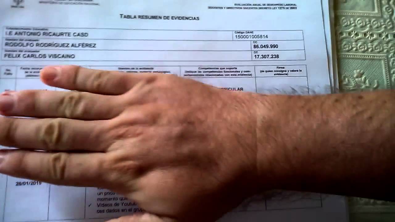 (1) EVALUACIÓN DE DESEMPEÑO, FORMATO Y CARPETA DE EVIDENCIAS.