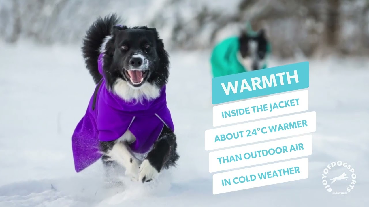 SportWarmer Jacket – Top-level technical performance for active dogs