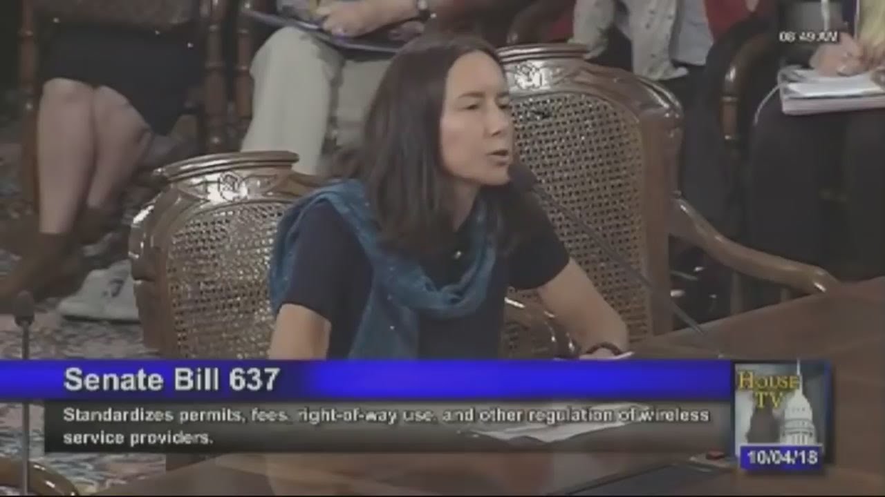 Dr  Sharon Goldberg Testifies at Michigan's 5G Small Cell Tower Legislation Hearing October 4, 2018