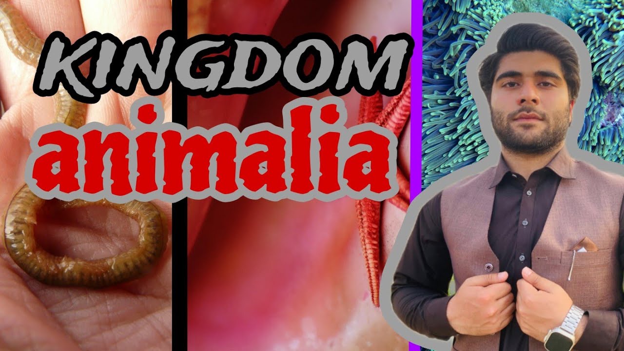Kingdom animalia/ pashto/ biology chapter 01 class 9th 