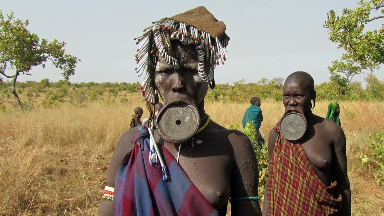 L&rsquo;Afrique, berceau de l&rsquo;humanit&eacute; &ndash; un voyage sacr&eacute; vers nos origines