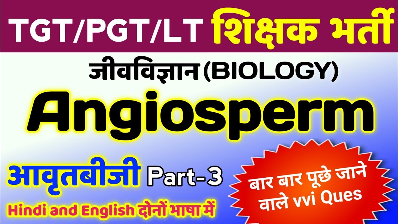 Angiosperm पर TGT PGT LT MCQ | tgt pgt biology class | tgt pgt biology practice set | tgt pgt bio