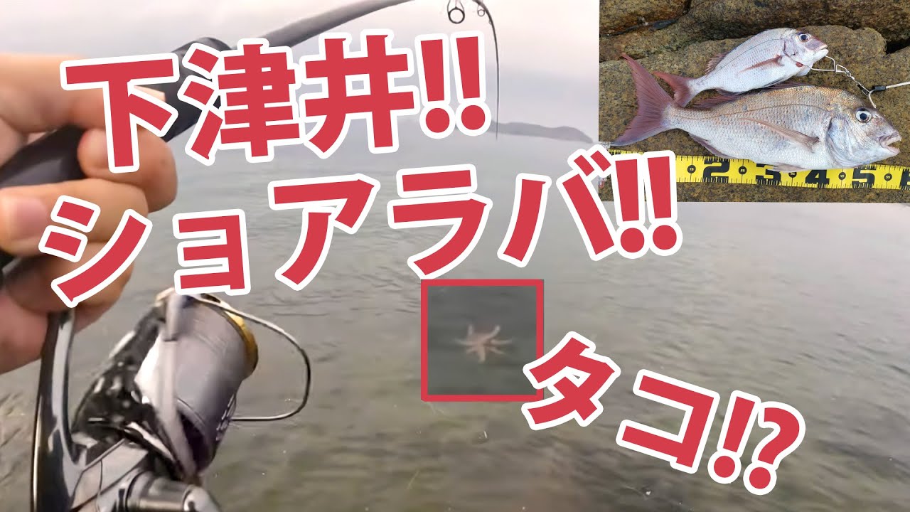 【岡山】下津井！ショアラバ！タコ？ 今日もセットアッパーでショア真鯛!!【たい公望】