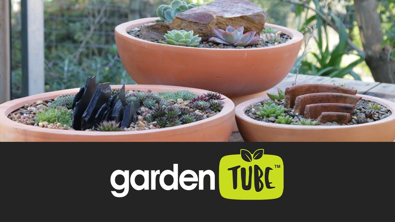 Alpine-Inspired Succulent Garden