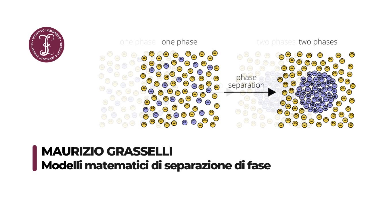Modelli matematici di separazione di fase | Istituto Lombardo