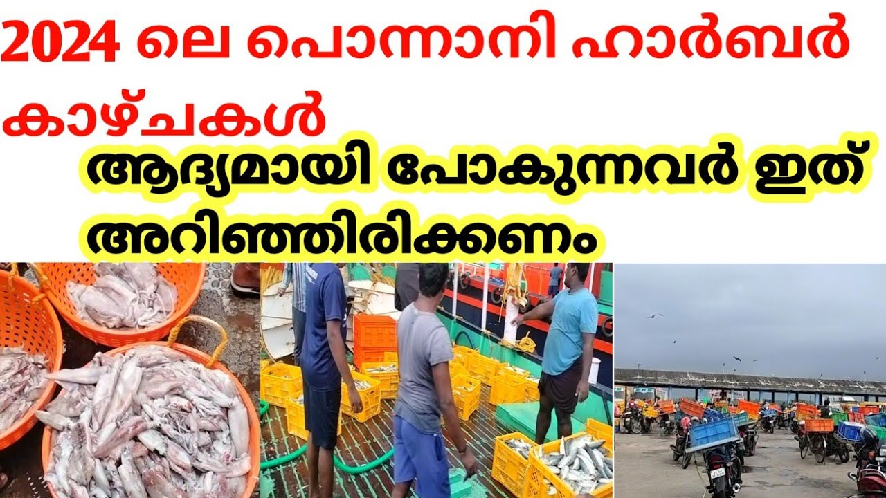 2024 ലെ പൊന്നാനി ഹാർബർ കാഴ്ചകൾ/Ponnani harbour/Ponnani harbour and ponnani beach/harbour fishing.