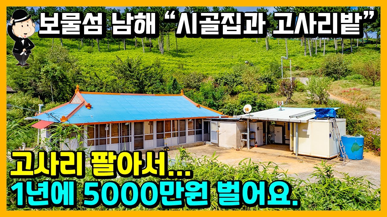 바닷가 시골집과 고사리밭 6000평 매매 소식. 1년에 고사리 팔아서 순수익 5000만원. 통장 증빙 가능. 경상남도 남해군 창선면 오용리 주택 전원주택 촌집 시골집 남해부동산