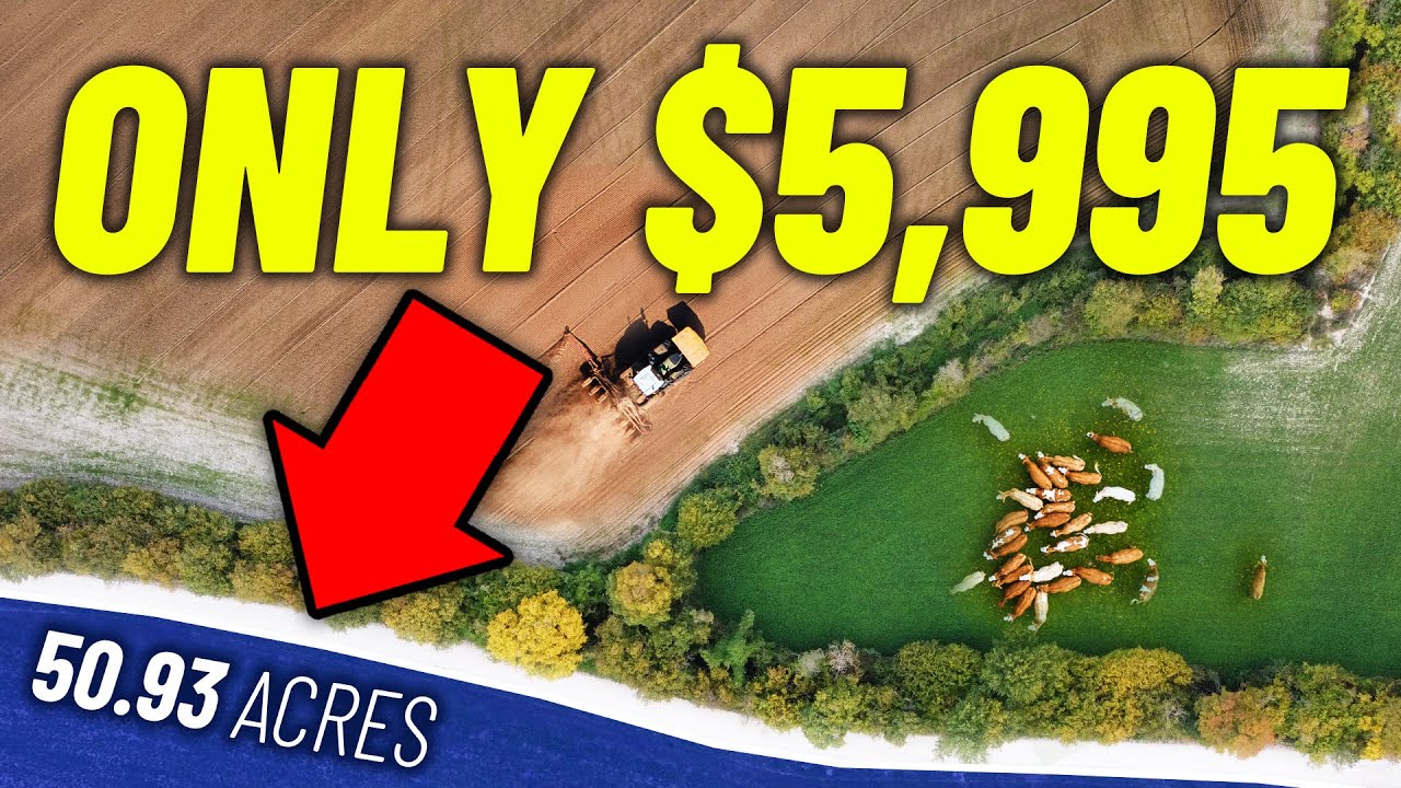 10 BEST Places To Get CHEAP LAND *To Start A Farm*