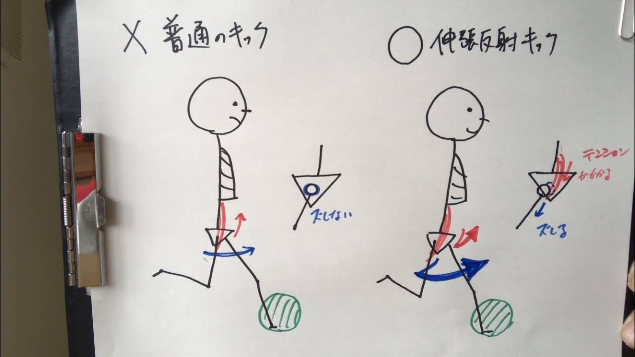 キック力を上げるための「伸張反射キック」のやり方