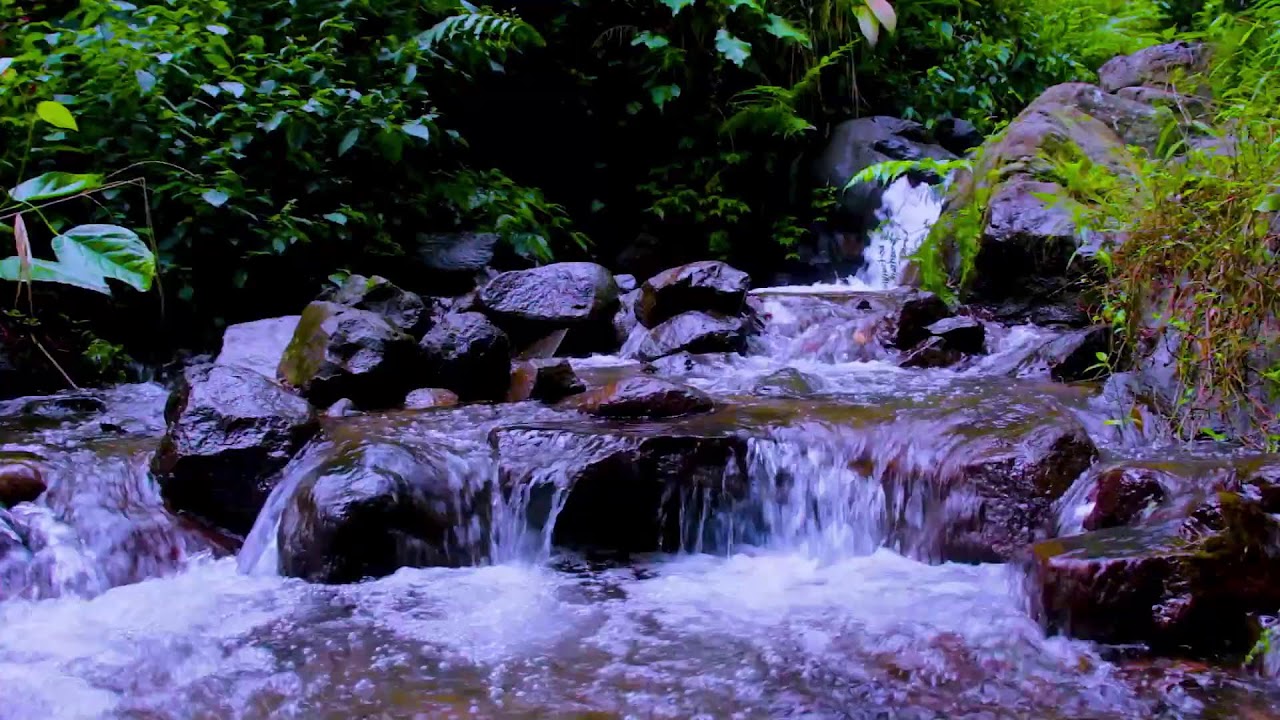 Mountain River Flowing Sounds for Concentration, Focus, and Mental Clarity