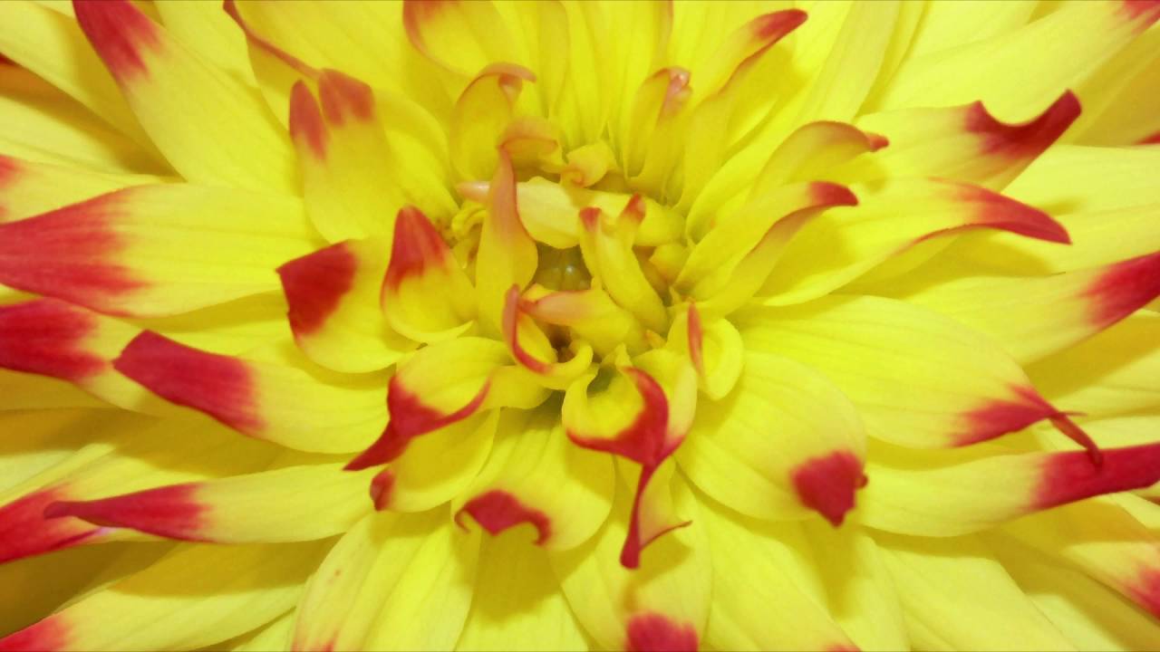 💙 Ohjattu meditaatio - Solar plexus (3)