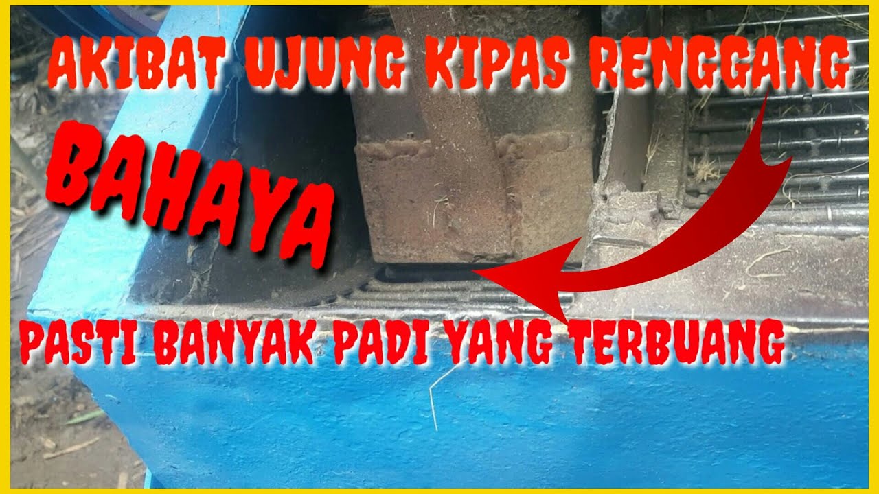 Padi Banyak Yang Terbuang Akibat Ujung kipas Renggang