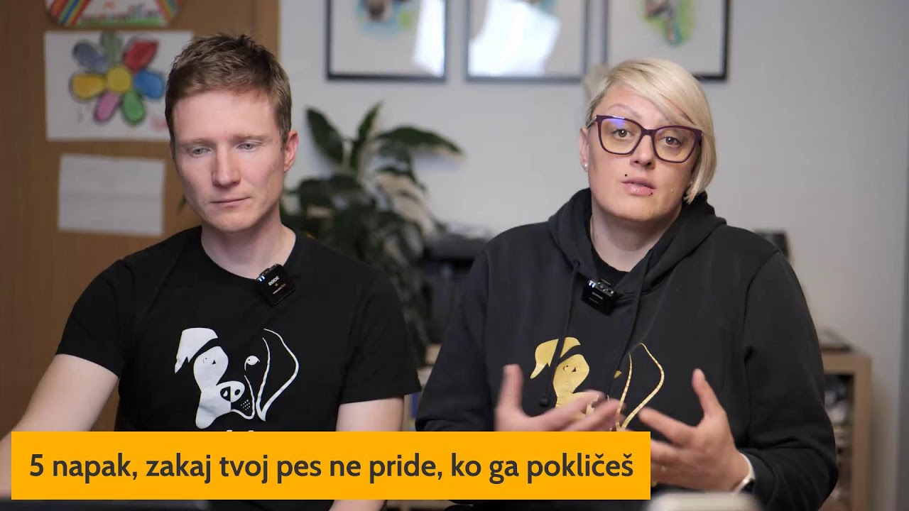 5 napak, zakaj tvoj pes ne pride, ko ga pokličeš