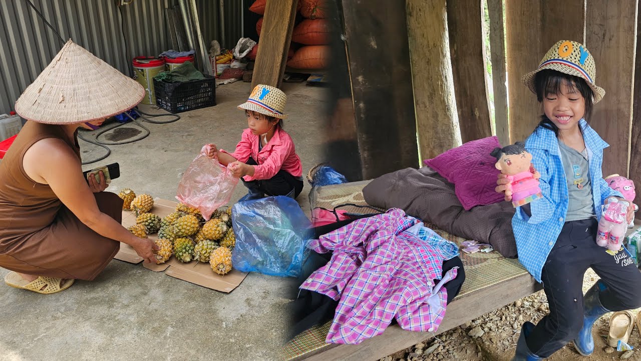 Today Uncle Thanh didn't come, Linh Dan still worked hard to pick pineapples to sell and cook dinner