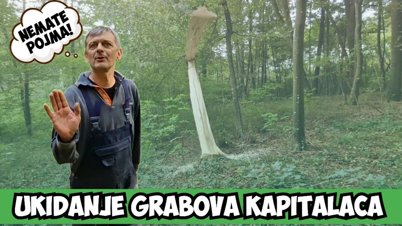 UKIDANJE GRABOVA KAPITALACA!!
