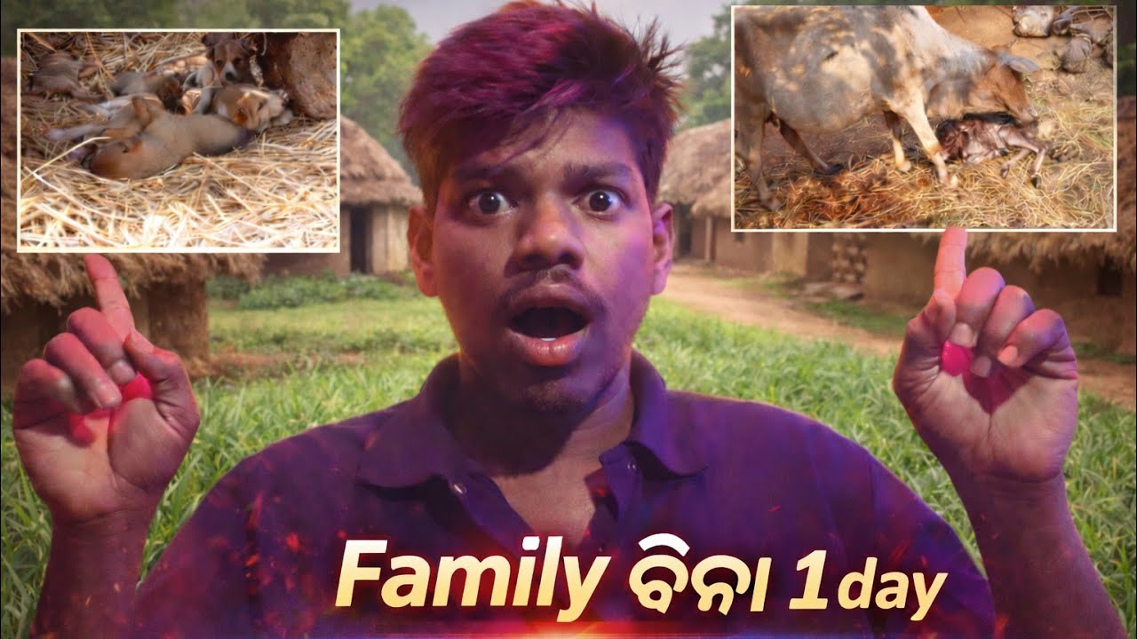 ଆଜି Family Members ବିନା ଦିନ କଟାଇଲି 😔 | Real Life Vlog | JataGo Odia Explore
