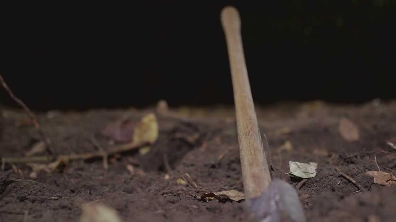 Zoo Babies - Nada [Official Video] Produced by KinG!