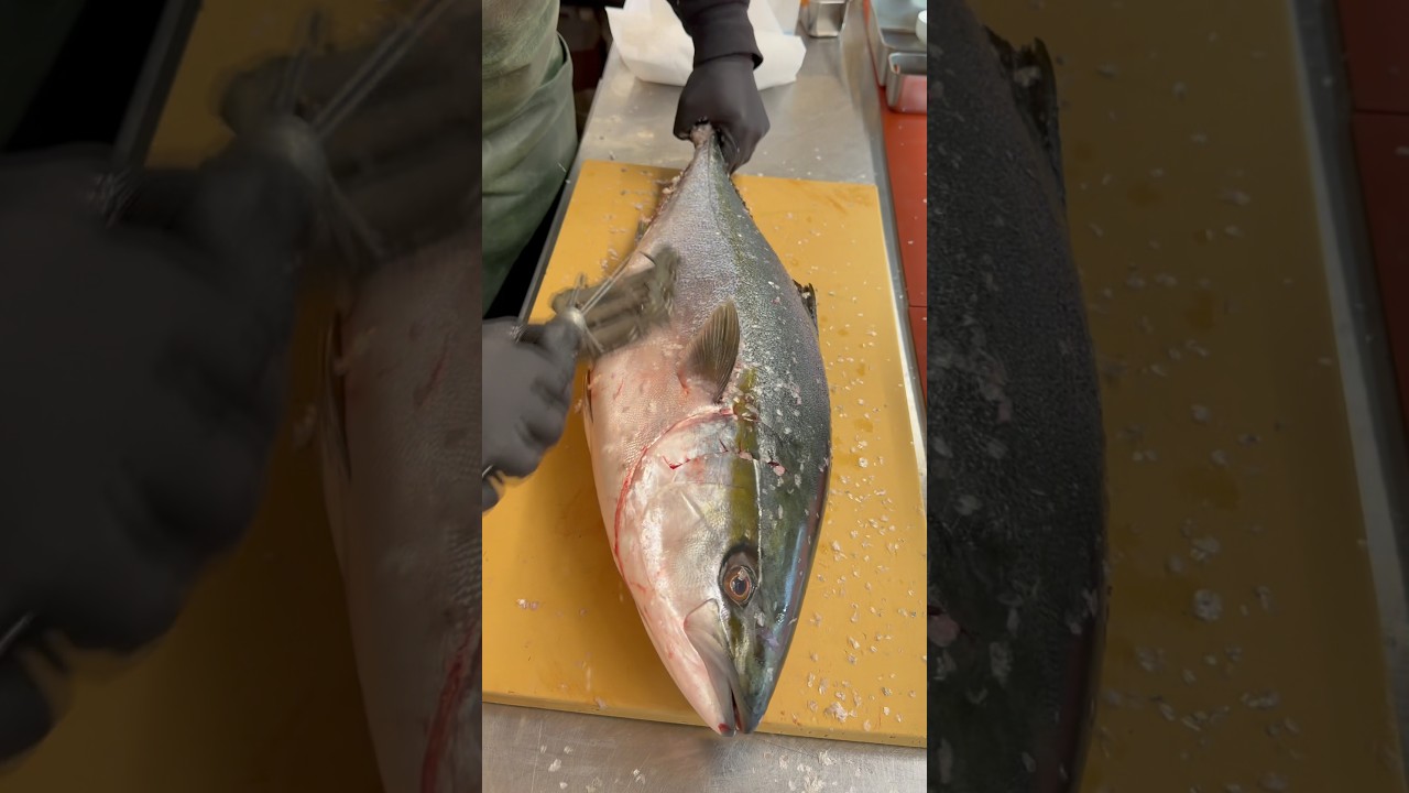 Cleaning and preparing a Japanese yellowtail for the dry ager 🩸