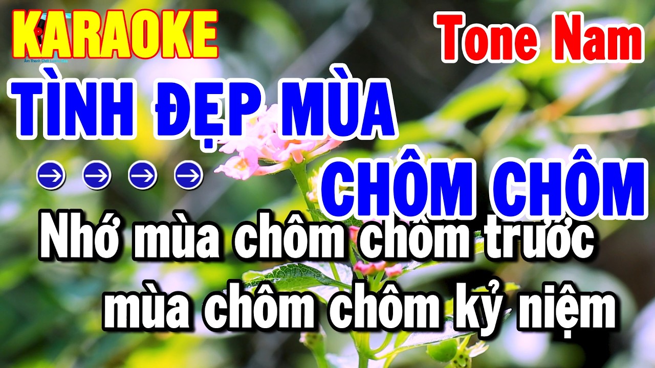 Karaoke Tình Đẹp Mùa Chôm Chôm Tone Nam Nhạc Sống Dễ Hát | Thanh Hải