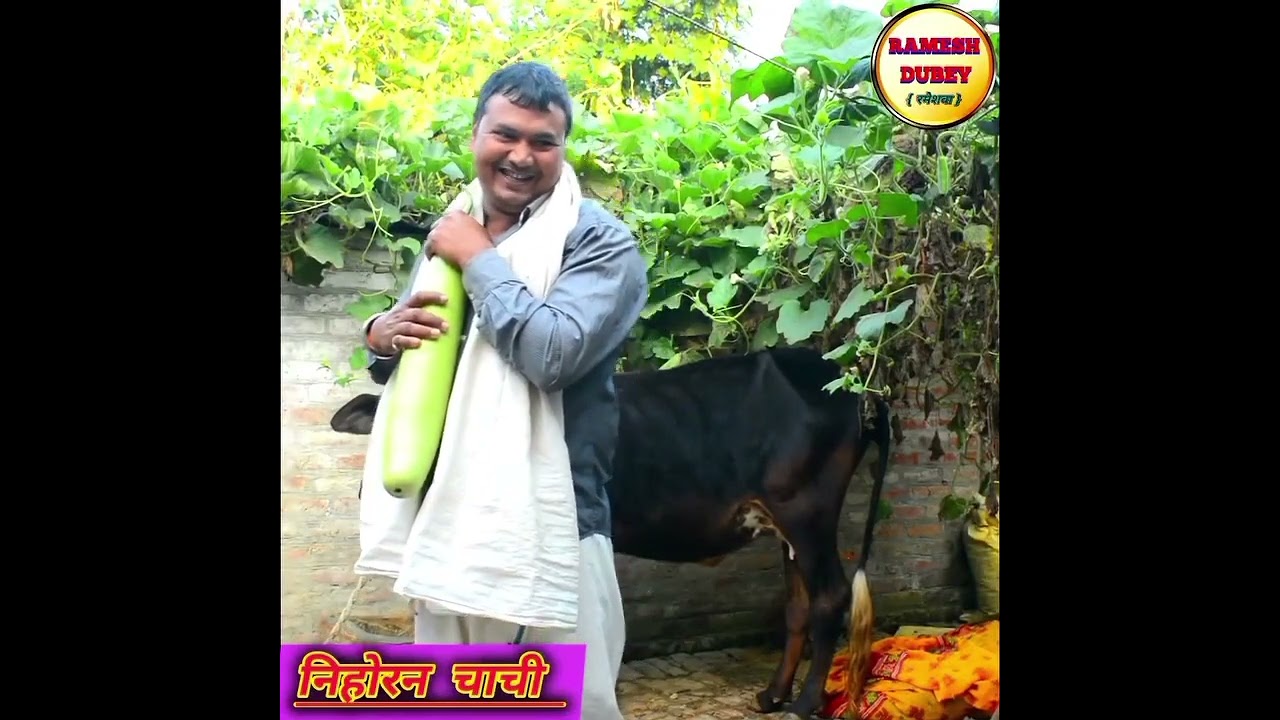 दिनदहाड़े चोरी करने गए युवक को चाची ने रंगे हाथो पकड़ा..!! #viralvideo # videoviral  #highlight.. 🙏🙏