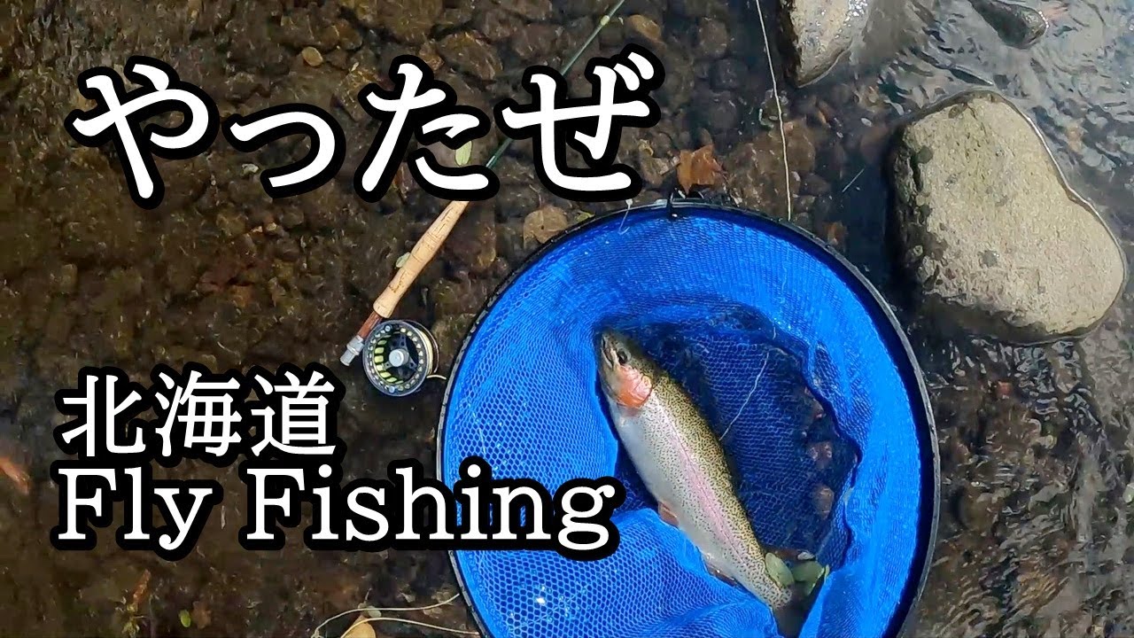 大物ニジマス釣れた…！【 北海道 釣り フライフィッシング 】