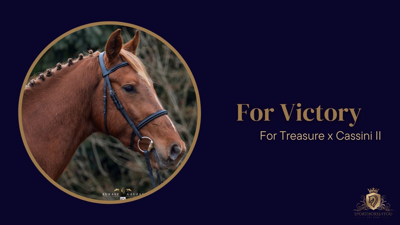 13. For Victory (For Treasure x Cassini II) stallion 2021