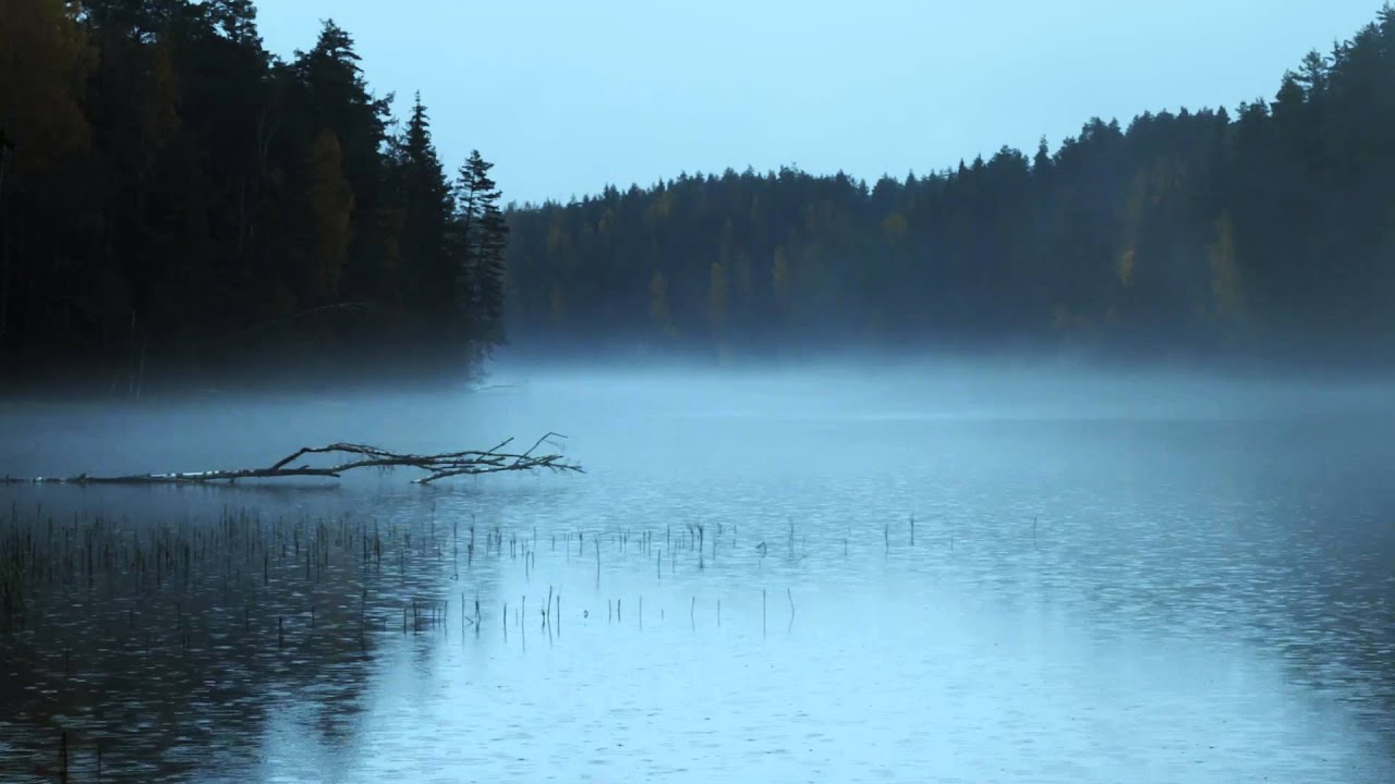 taevaskoja