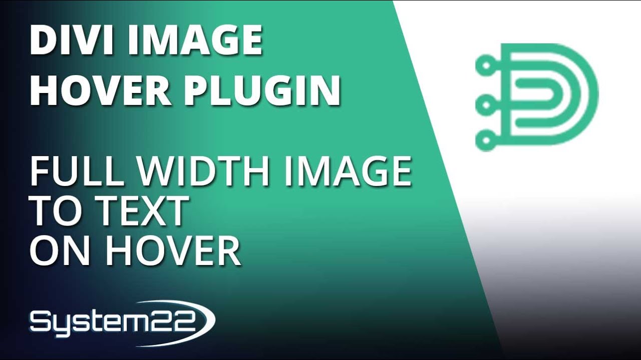 Divi Theme Hover Effects Full Width Image To Text On Hover 👍
