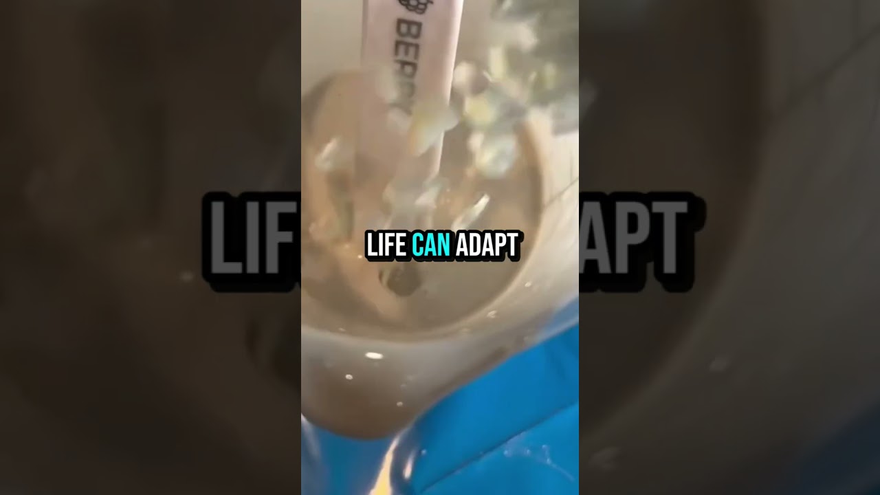 10 facts that will make you question your existence