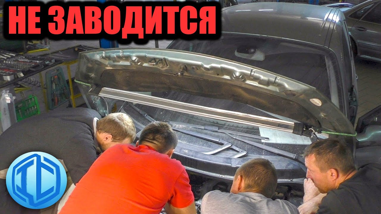 Renault Scenic не заводится