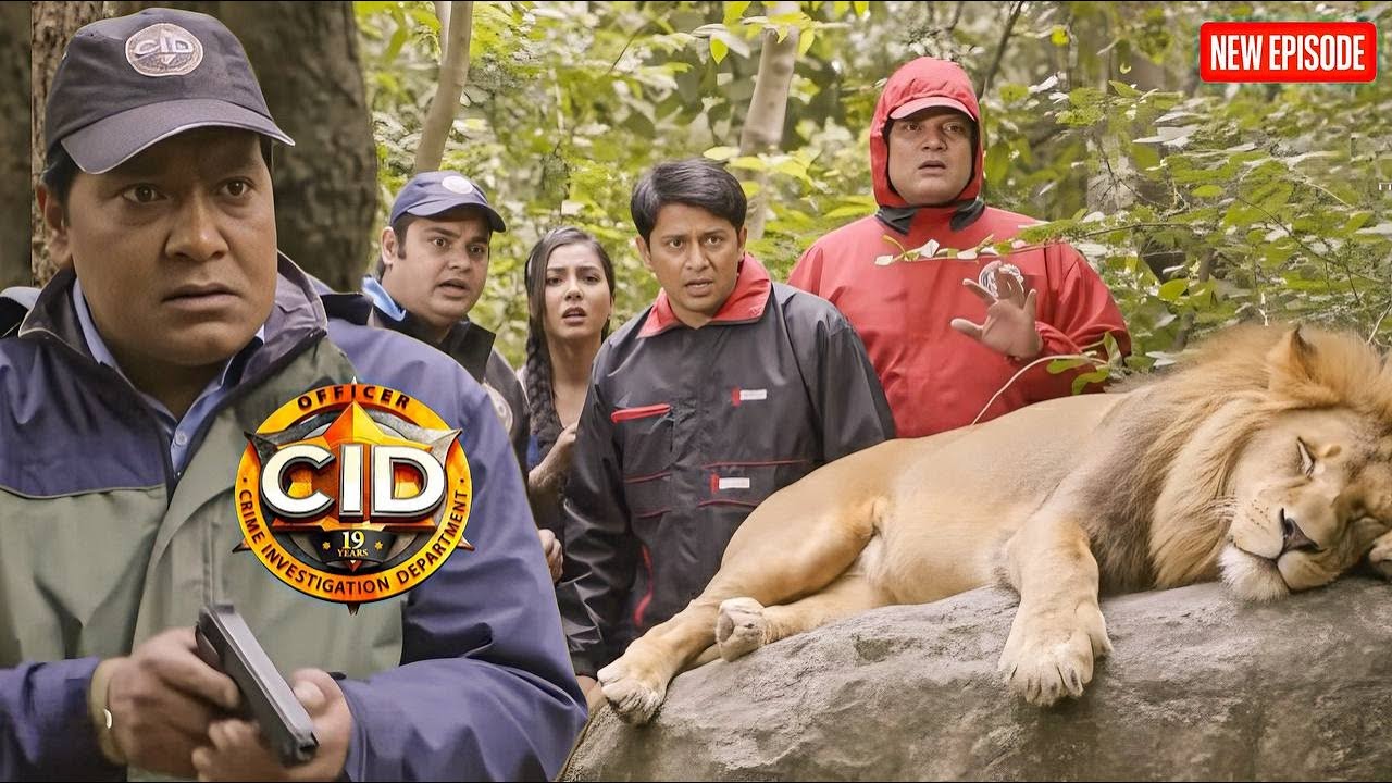 सीआईडी ​​टीम का हुआ जंगल में शेर के साथ सामना  || CID | Latest Episode ||