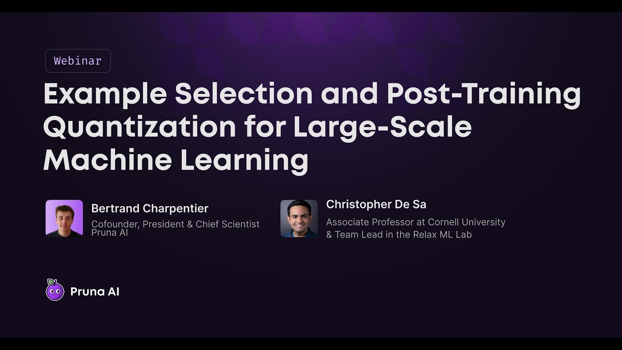 Example Selection and Post-Training Quantization for Large-Scale Machine Learning with Chris De Sa
