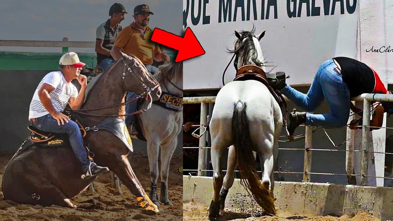 Os DESMANTELOS mais INUSITADOS da VAQUEJADA
