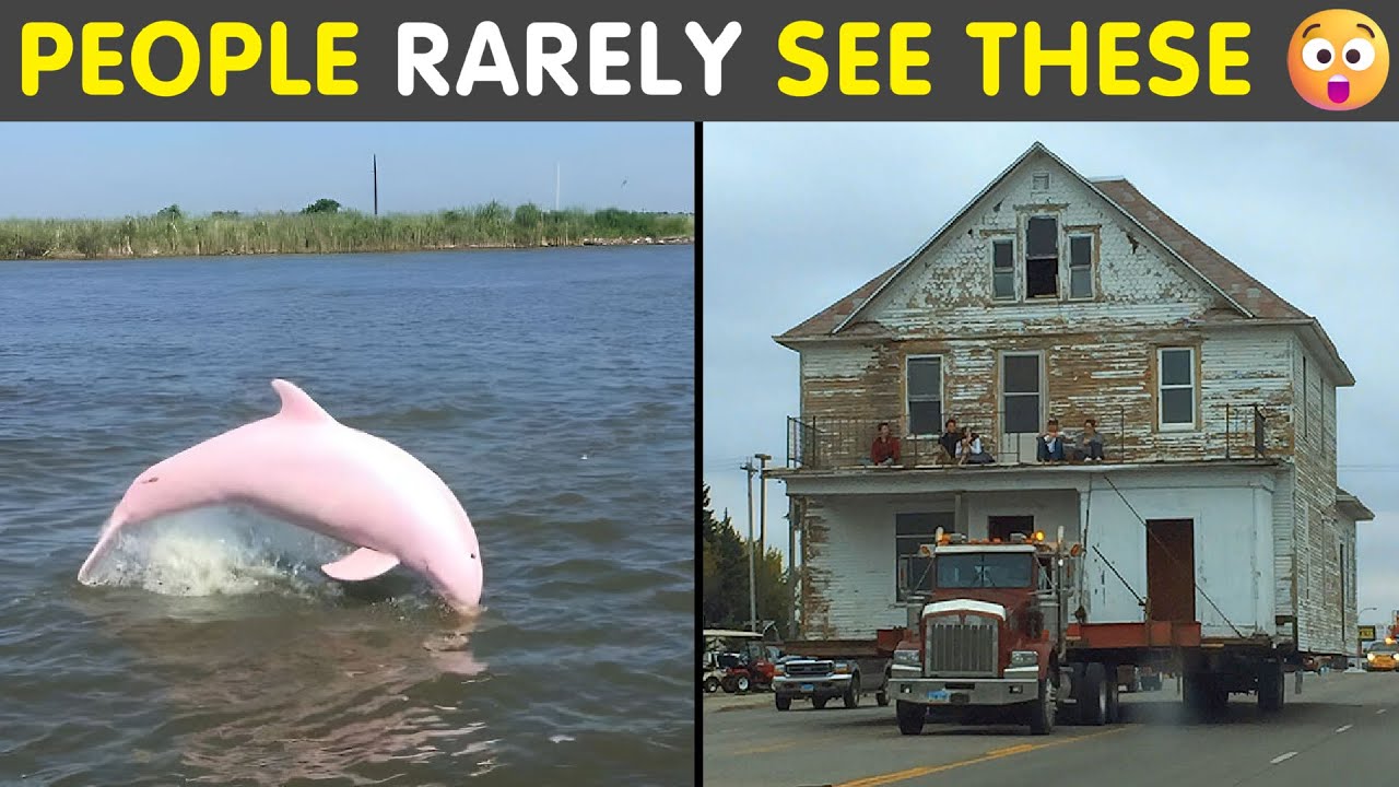 Curious Photos Of Rare Things Most People Never Get To See 😲