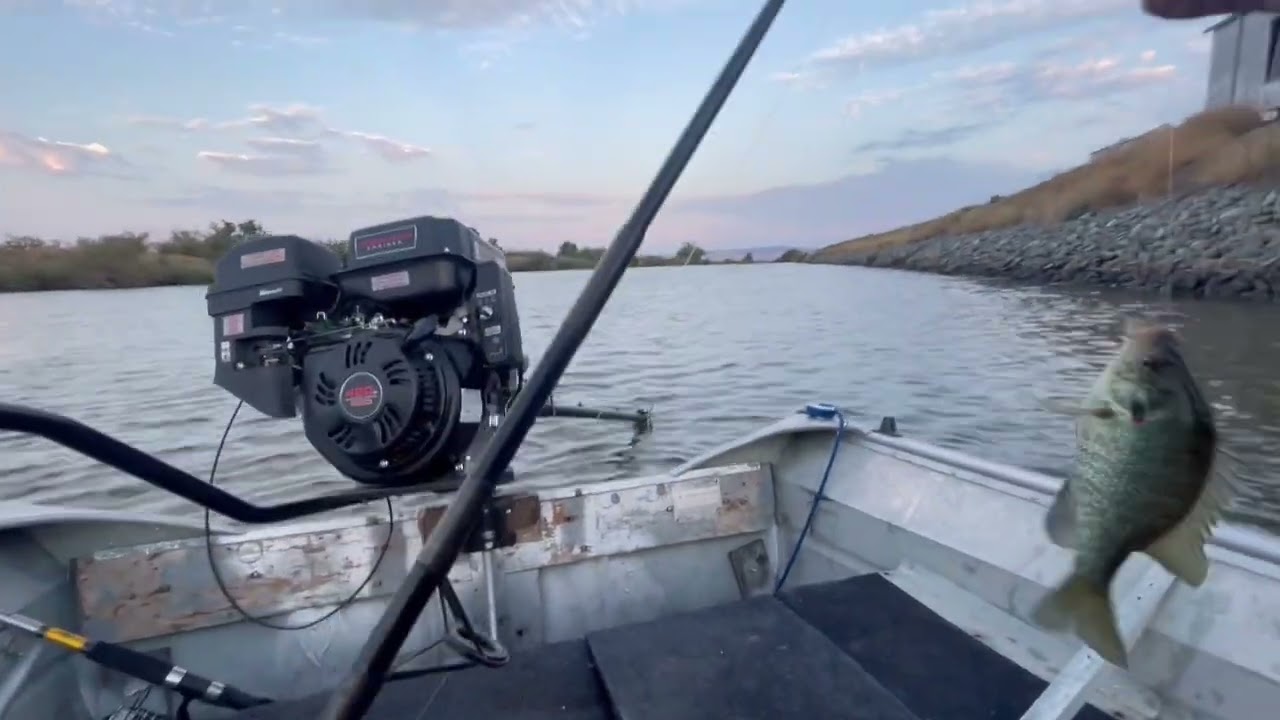 Catching more bluegills @Tracy 7-31-2022