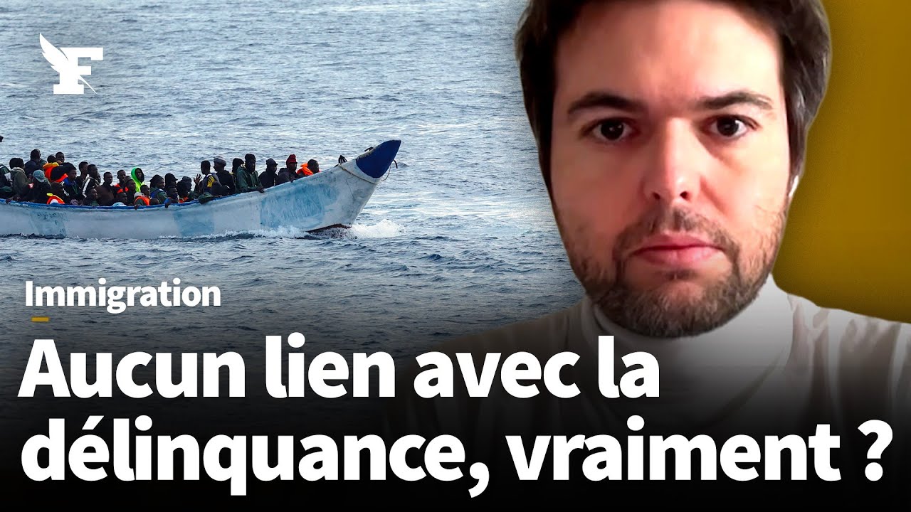«Non, toutes les études ne concluent pas à l’absence de lien entre immigration et délinquance»