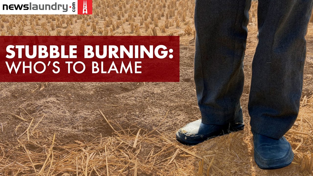 Shamli: Why do farmers continue to burn stubble? | Ground Report