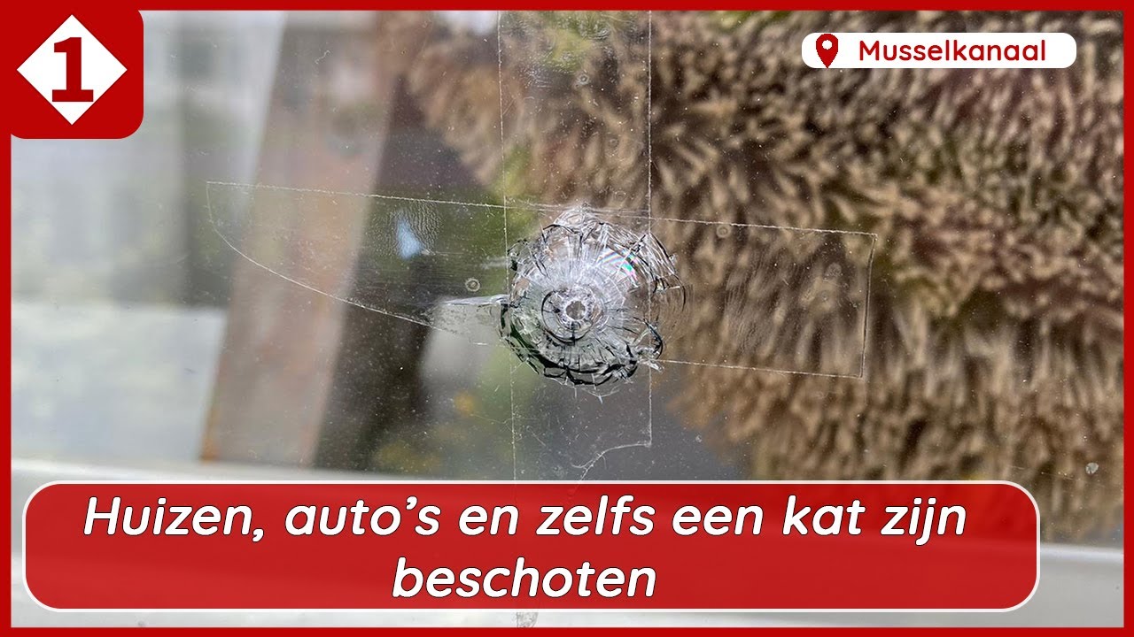 Huizen en auto's beschoten in Musselkanaal: 